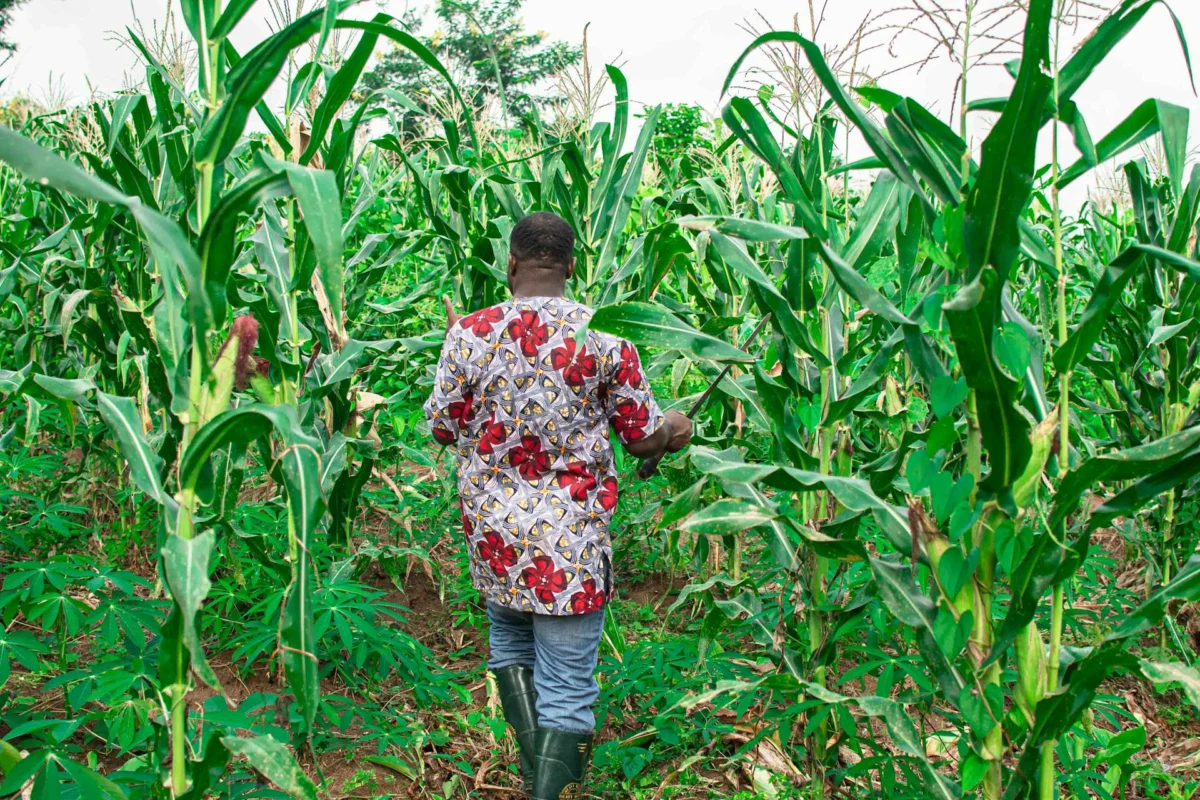 Beyond the Harvest: Zambia’s Blueprint for Sustainable Pesticide Stewardship