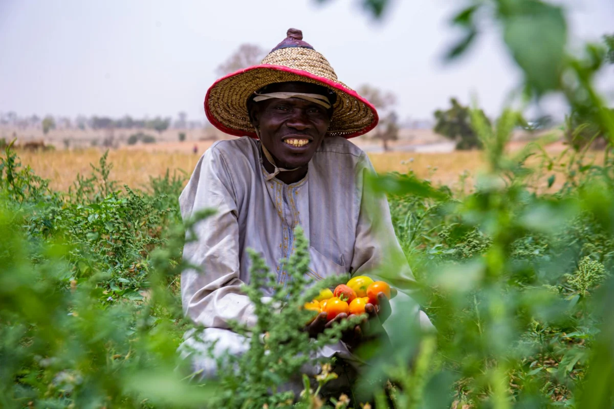 Bridging the Ambition Gap: Why Leadership is Africa’s Missing Ingredient for Food Systems Transformation