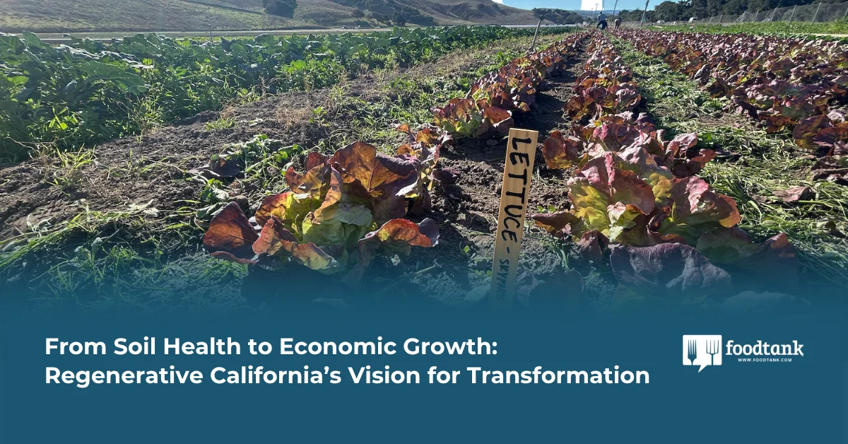Cultivating a New Paradigm: How Regenerative California is Reimagining the State’s Agricultural Future