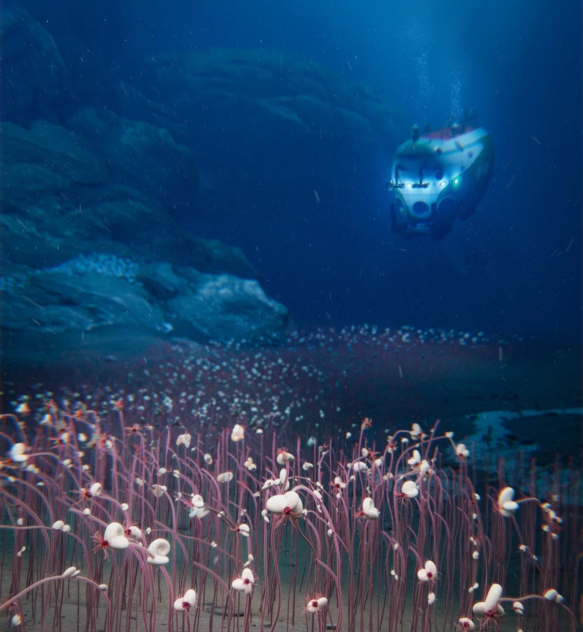 Deep-Sea Oasis: Chinese Submersible Uncovers Vast Chemosynthetic Ecosystem in Mariana Trench