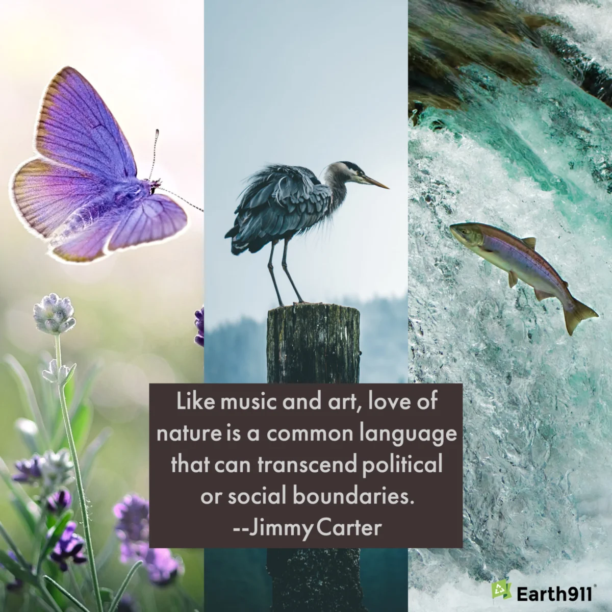 Earth911: Pioneering the Circular Economy and Empowering Sustainable Lifestyles