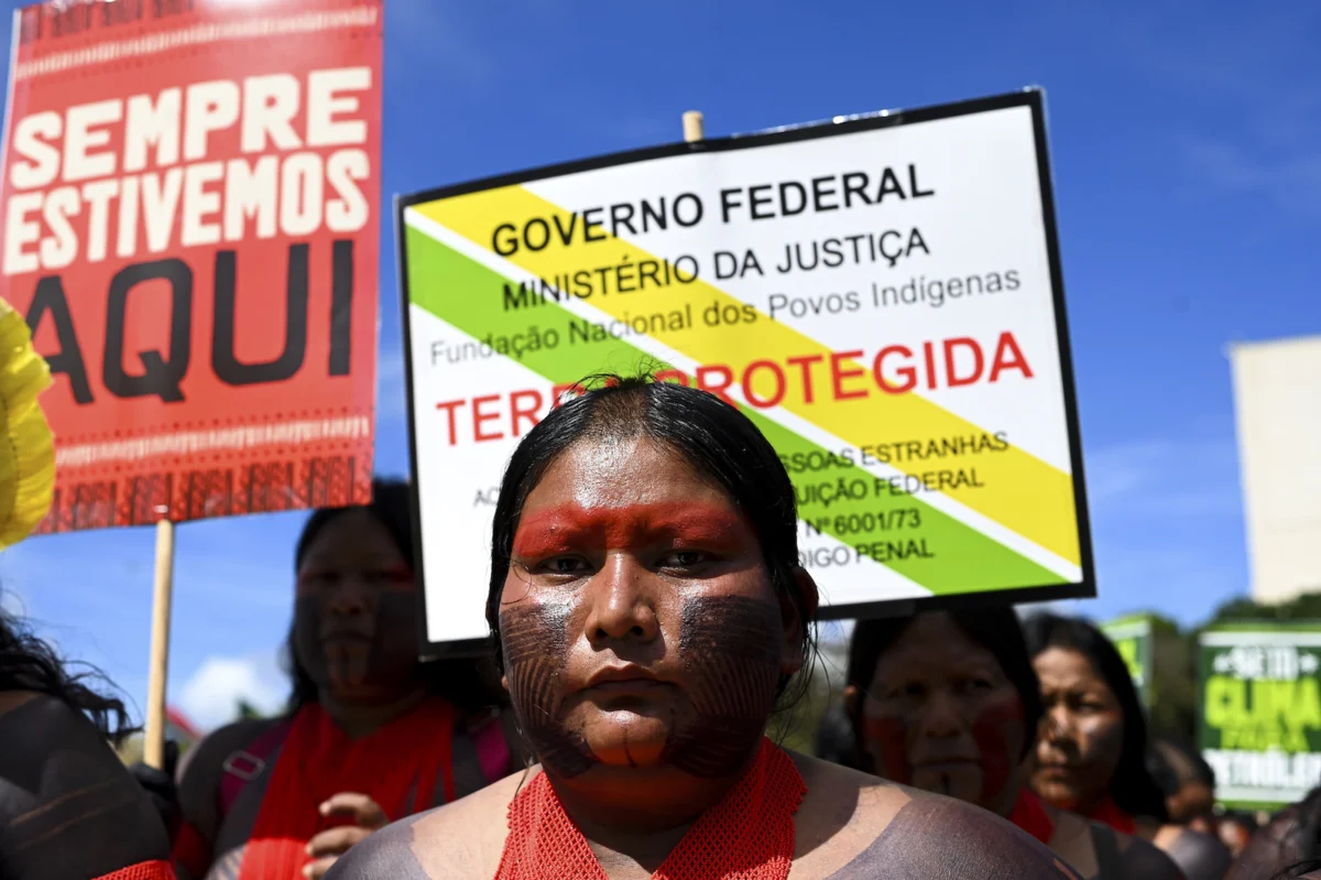 The Guardians of the Carbon Sink: Why Indigenous Stewardship is the Linchpin of Global Climate Survival