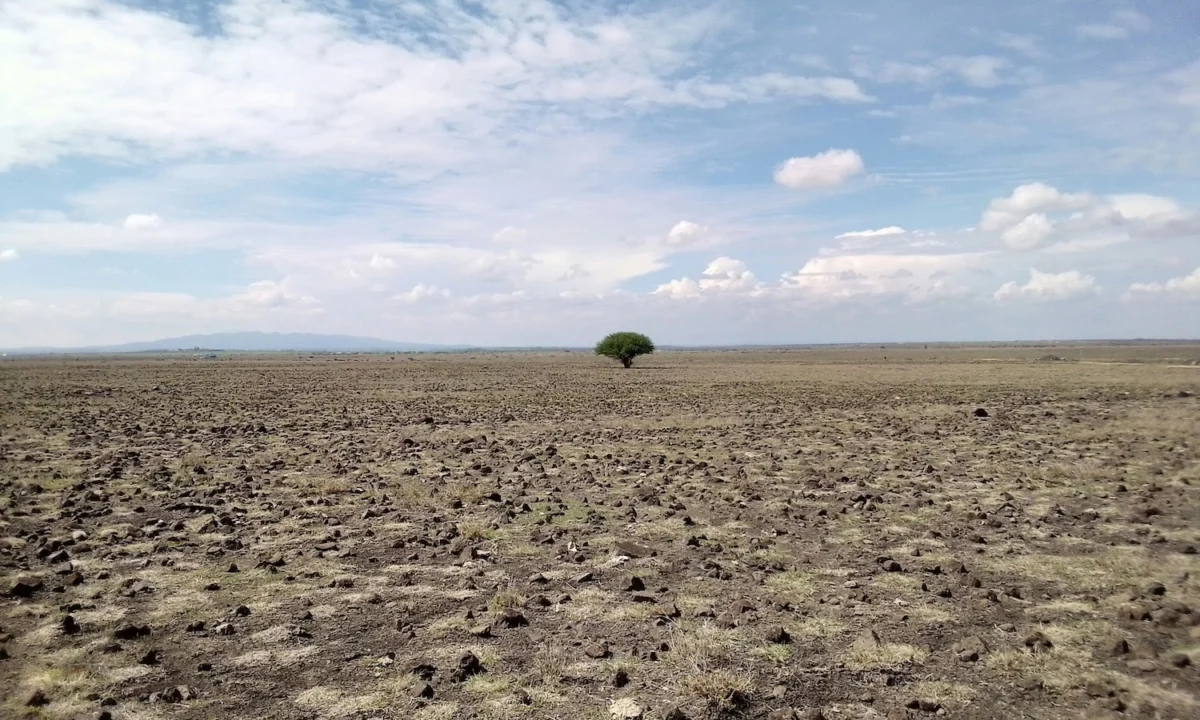 The Pulse of Global Food Systems: From Climate Crisis to Agroecological Innovation
